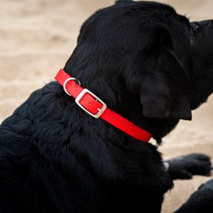 Collier en biothane