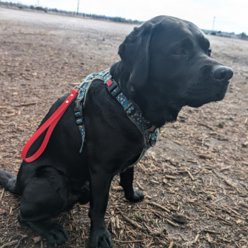 Poignée en biothane