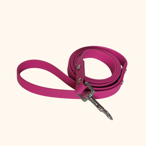 laisse en biothane fuishia
