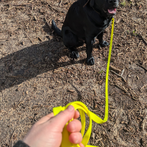 longe hexa jaune fluo portée